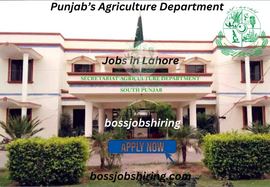 Jobs in Lahore